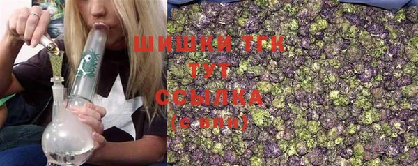 сатива Алексеевка