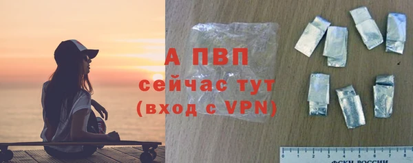 сатива Алексеевка