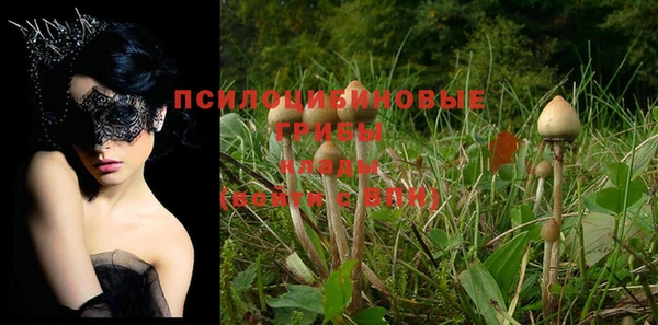 герыч Алзамай
