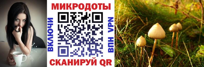Псилоцибиновые грибы MAGIC MUSHROOMS  закладки  Абинск 